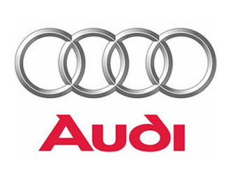 Чип-блок для дизельных двигателей Audi